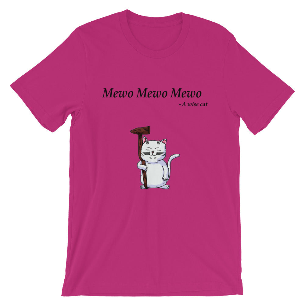 Mewo Mewo Mewo Said the wise cat